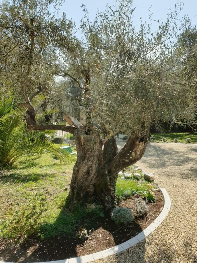 Отель La Bastide Aux Oliviers Туррет-сюр-Лу Экстерьер фото